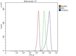 Invitrogen ACADVL Polyclonal Antibody 100 &mu;g; Unconjugated:Antibodies,