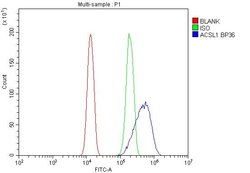 Invitrogen ACSL1 Polyclonal Antibody 100 &mu;g; Unconjugated:Antibodies,