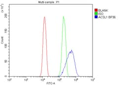 Invitrogen ACSL1 Polyclonal Antibody 100 &mu;g; Unconjugated:Antibodies,