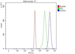 Invitrogen ACSL5 Polyclonal Antibody 100 &mu;g; Unconjugated:Antibodies,