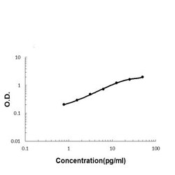 Invitrogen ADAMTS13 Polyclonal Antibody 100 &mu;g; Unconjugated:Antibodies,