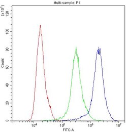 Invitrogen ADO Polyclonal Antibody 100 &mu;g | Buy Online | Invitrogen&trade; | Fisher Scientific