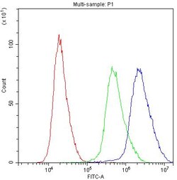 Invitrogen ADO Polyclonal Antibody 100 &mu;g | Buy Online | Invitrogen&trade; | Fisher Scientific