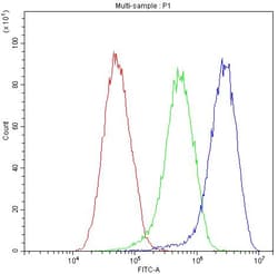 Invitrogen Fetuin A Polyclonal Antibody 100 &mu;g; Unconjugated:Antibodies,