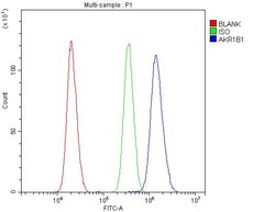 Invitrogen AKR1B1 Polyclonal Antibody 100 &mu;g; Unconjugated:Antibodies,