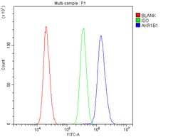 Invitrogen AKR1B1 Polyclonal Antibody 100 &mu;g; Unconjugated:Antibodies,