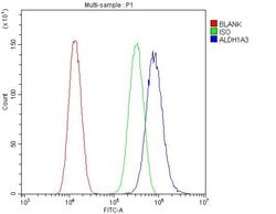 Invitrogen ALDH1A3 Polyclonal Antibody 100 &mu;g; Unconjugated:Antibodies,