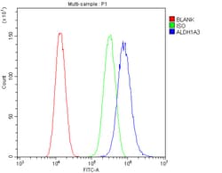 Invitrogen ALDH1A3 Polyclonal Antibody 100 &mu;g; Unconjugated:Antibodies,