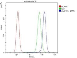 Invitrogen ALDH7A1 Polyclonal Antibody 100 &mu;g; Unconjugated:Antibodies,