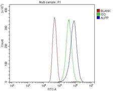 Invitrogen Placental Alkaline Phosphatase Polyclonal Antibody 100 &mu;g;
