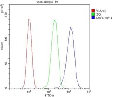 Invitrogen AMFR Polyclonal Antibody 100 &mu;g; Unconjugated:Antibodies,