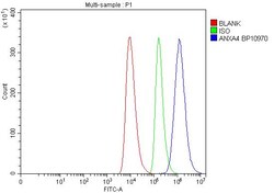 Invitrogen Annexin A4 Polyclonal Antibody 100 &mu;g; Unconjugated:Antibodies,