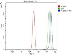 Invitrogen RIAM Polyclonal Antibody 100 &mu;g; Unconjugated:Antibodies,