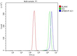 Invitrogen RIAM Polyclonal Antibody 100 &mu;g; Unconjugated:Antibodies,