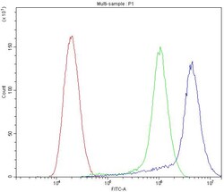 Invitrogen APLP1 Polyclonal Antibody 100 &mu;g; Unconjugated:Antibodies,