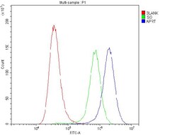 Invitrogen APRT Polyclonal Antibody 100 &mu;g; Unconjugated:Antibodies,