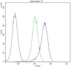 Invitrogen Aquaporin 1 Polyclonal Antibody 100 &mu;g; Unconjugated:Antibodies,