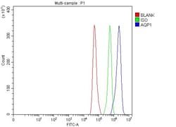 Invitrogen Aquaporin 1 Polyclonal Antibody 100 &mu;g; Unconjugated:Antibodies,