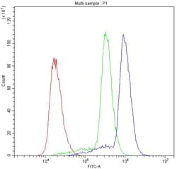 Invitrogen ASIC3 Polyclonal Antibody 100 &mu;g; Unconjugated:Antibodies,