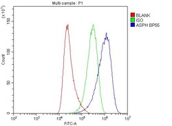 Invitrogen ASPH Polyclonal Antibody 100 &mu;g; Unconjugated:Antibodies,