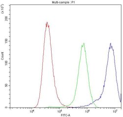 Invitrogen Ataxin 2 Polyclonal Antibody 100 &mu;g; Unconjugated:Antibodies,