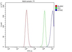 Invitrogen Ataxin 2 Polyclonal Antibody 100 &mu;g; Unconjugated:Antibodies,