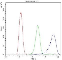 Invitrogen Ataxin 2 Polyclonal Antibody 100 &mu;g; Unconjugated:Antibodies,