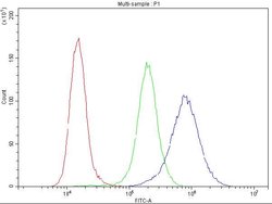 Invitrogen Ataxin 2 Polyclonal Antibody 100 &mu;g; Unconjugated:Antibodies,