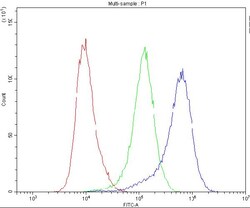 Invitrogen Bestrophin 1 Polyclonal Antibody 100 &mu;g; Unconjugated:Antibodies,