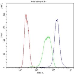 Invitrogen Bid Polyclonal Antibody, DyLight 488 100 &mu;g | Buy Online | Invitrogen&trade; | Fisher Scientific