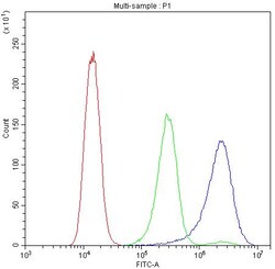 Invitrogen BIK Polyclonal Antibody 100 &mu;g | Buy Online | Invitrogen&trade; | Fisher Scientific