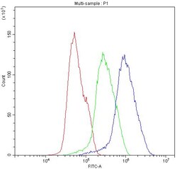 Invitrogen BIK Polyclonal Antibody 100 &mu;g | Buy Online | Invitrogen&trade; | Fisher Scientific