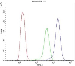 Invitrogen BMP5 Polyclonal Antibody, DyLight 488 100 μg; DyLight 488:Antibodies,