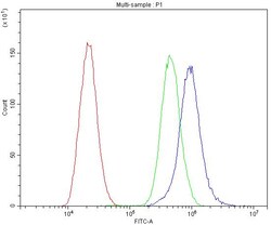 Invitrogen CaV1.3 Polyclonal Antibody 100 &mu;g; Unconjugated:Antibodies,