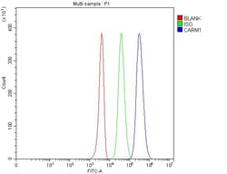 Invitrogen PRMT4 Polyclonal Antibody 100 &mu;g; Unconjugated:Antibodies,