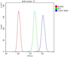 Invitrogen Cyclin T1 Polyclonal Antibody 100 &mu;g; Unconjugated:Antibodies,