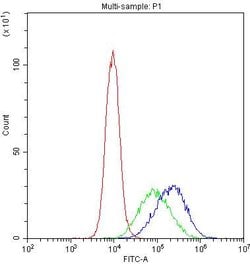 DC-SIGN (CD209) Polyclonal Antibody, Invitrogen&trade; 100 &mu;g; Unconjugated 