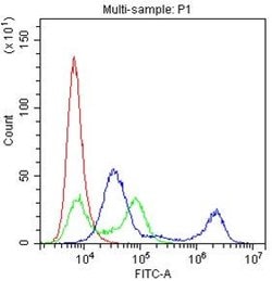 CD22 Polyclonal Antibody:Antibodies, Polyclonal