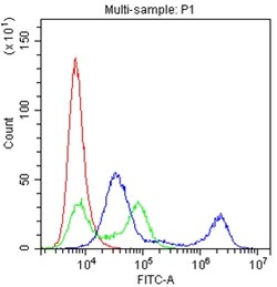 CD22 Polyclonal Antibody:Antibodies, Polyclonal
