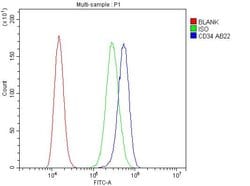 Invitrogen CD34 Polyclonal Antibody 100 &mu;g; Unconjugated:Antibodies,