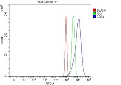 Invitrogen CD34 Polyclonal Antibody 100 &mu;g; Unconjugated:Antibodies,
