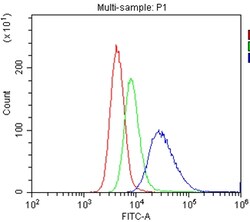 Invitrogen CD40 Polyclonal Antibody 100 &mu;g; Unconjugated:Antibodies,