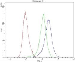 Invitrogen CD5 Polyclonal Antibody 100 &mu;g; Unconjugated:Antibodies,