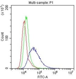 CD58 Polyclonal Antibody:Antibodies, Polyclonal