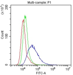 CD58 Polyclonal Antibody:Antibodies, Polyclonal