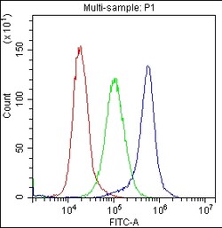 Invitrogen CD59 Polyclonal Antibody 100 &mu;g; Unconjugated:Antibodies,