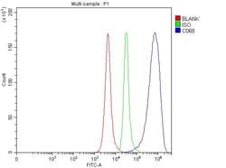 Invitrogen CD68 Polyclonal Antibody 100 &mu;g; Unconjugated:Antibodies,