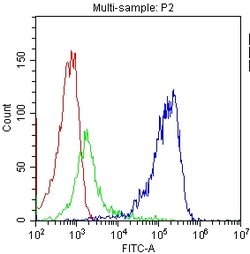 Invitrogen CD81 Polyclonal Antibody 100 &mu;g; Unconjugated:Antibodies,