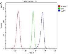 Invitrogen CD81 Polyclonal Antibody 100 &mu;g; Unconjugated:Antibodies,