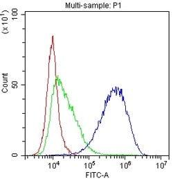Invitrogen CD81 Polyclonal Antibody 100 &mu;g; Unconjugated:Antibodies,